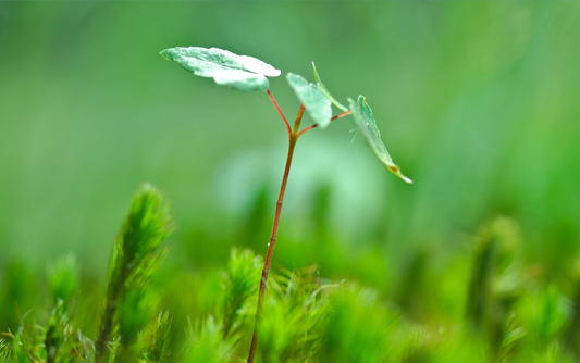 节能环保网站建设